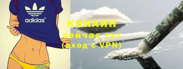 дживик Абаза