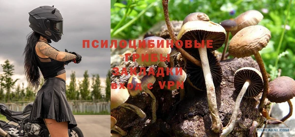 стаф Абдулино